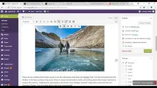 Image, Anchor Tag Optimization Via WordPress- Nybble Host Training