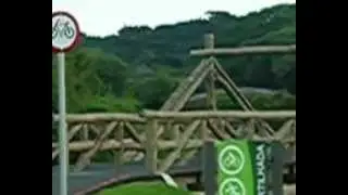 CAPIVARA - PARQUE BARIGUI