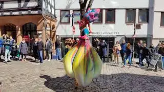 Marburger Frühling 2022 (1)
