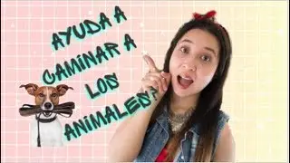 EL HOMBRE QUE AYUDA A CAMINAR A LOS ANIMALES 🐾