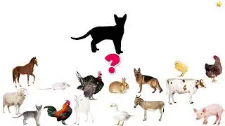 Развивающие Мультики для Детей Учим Животных по Системе Монтессори🐓🐎
