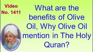 What are the benefits of Olive Oil, Why Olive Oil mention in The Holy Quran? 1411