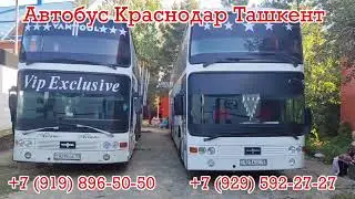 Краснодар Ташкент автобус, краснодар-ташкент автобус, Ростов дану Ташкент автобус, 