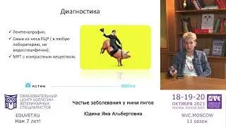 Частые заболевания у мини пигов — Юдина Яна
