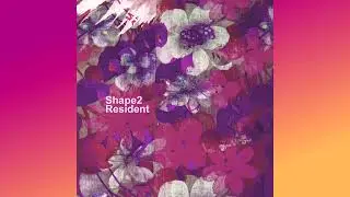 Shape2 - S2 Self 1
