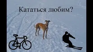 Покатушки 2 в 1