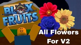 🍈СПАВН ВСЕХ ЦВЕТКОВ ДЛЯ В2🍈Blox Fruits🍈ПОКАЗАЛ ВСЕ МЕСТА СПАВНА🍈