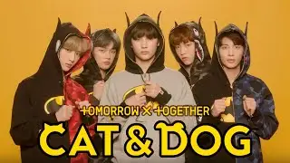 Учим песню TXT - Cat & Dog | Кириллизация