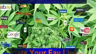 Quick Tour Of JWebs Including Cams & SFX  And More