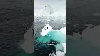 Кровавый снег 😳😳😳