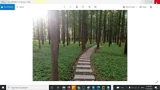 How to resize multiple images using python? - example 96