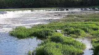 Kuldiga