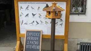 PELHŘIMOV: Ptačí pozvánka