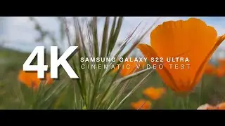 Samsung Galaxy S22 Ultra Cinematic Video Test in 4K