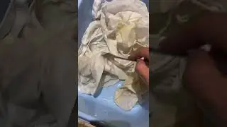 #stainremover