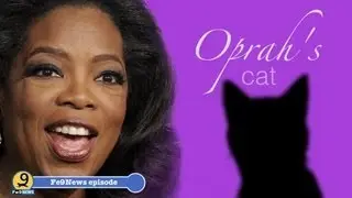 Oprah's cat