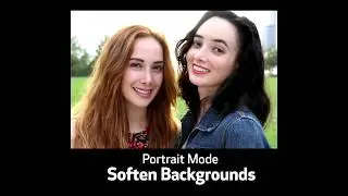 Canon EOS - Rebel SL2 Snapshots Set the Scene with SCN Mode