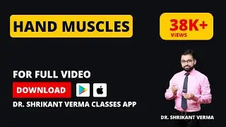 Upper Limb Anatomy: Unveiling the Intricacies of Hand Muscles | Dr. Shrikant Verma Classes