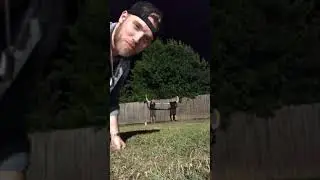 Beer Can Field Goal... to the face!