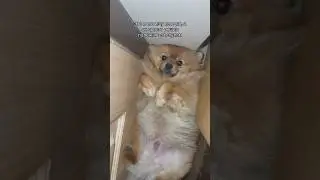 Мда😂 