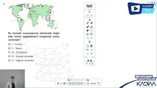 10 SINIF / COĞRAFYA / DÜNYA'DA VE TÜRKİYE'DE BİTKİ ÖRTÜSÜ SORU ÇÖZÜMÜ