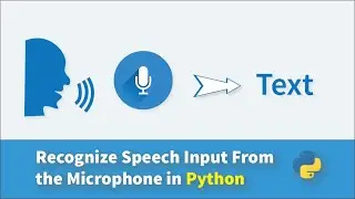 Recognize Speech Input From the Microphone in Python