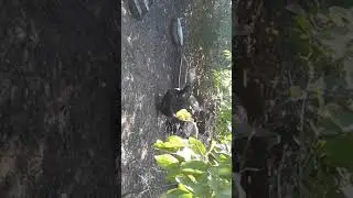 Итог лета. Обзор хозяйства.
