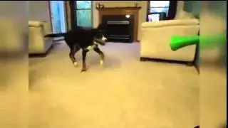 не дуди мне тут а то надудю