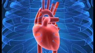 Tik Tok Heartbeat Compilation Chapter 2