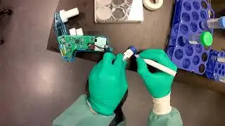 BME 245L Summer 2020 Lab day 4: Make photocrosslinked hydrogels