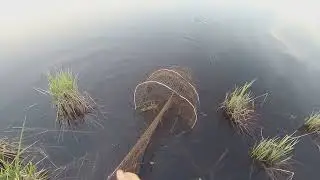 Cleaning the lake. Checking the wick and removing the net.
