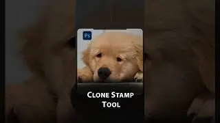 Clone stamp tool in photoshop #shorts #creative #artist #designing #editor r