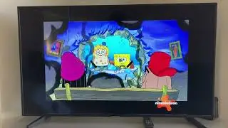 SpongeBob SquarePants Bumper to bumper clip