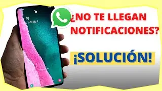 🥵 ¡Whatsapp NO ME NOTIFICA los mensajes! 📲 TE MUESTRO la solución