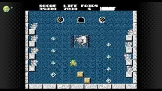 Eve & Luca's Arcade: Solomon's Key (Switch Virtual Console)