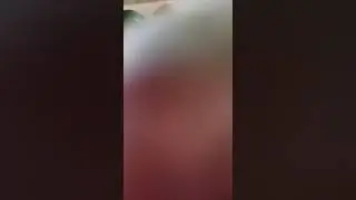 Дегустация корма.