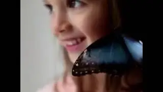 Бабочки и Маленькая Принцесса