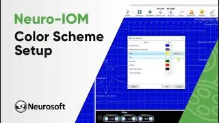 Color Scheme Setup  | Neuro-IOM software