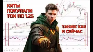 🟢 ТАК ПОКУПАЛИ TON ГОД НАЗАД ПО 1.2$ 🔴 СОБИРАЕМ УРОВНИ ЛИКВИДАЦИЙ НА BTC