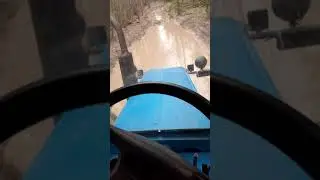 Трактор т-40 в лесу
