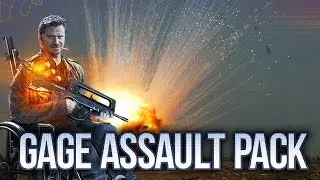 [Payday 2] Gage Assault Pack - Gecko (Galil) Rifle