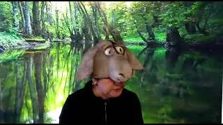 звук и буква О.