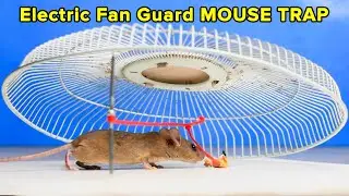 Electric Fan Guard Mouse Trap - Humane & Easy DIY Rat Trap Homemade