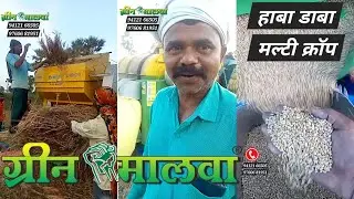 𝗚𝗿𝗲𝗲𝗻 𝗠𝗮𝗹𝘃𝗮 💥गेहूं 𝗛𝗮𝘄𝗮 𝗗𝗮𝗯𝗮 𝗠𝘂𝗹𝘁𝗶 𝗖𝗿𝗼𝗽 𝗧𝗵𝗿𝗲𝘀𝗵𝗲𝗿 ग्रीन ✊ मालवा मल्टी क्रॉप थ्रैशर