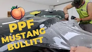 Protecting the brand new MUSTANG BULLITT in PPF | PRNWRAP