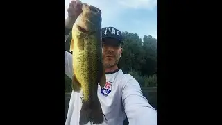 Bass 52 cm