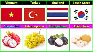 National fruits from different countries in Asia