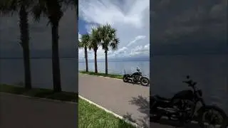 Paradise Found on my Iron 883 #motorcycles #sportster #iron883