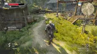 The Witcher 3: Wild Hunt - phantom gloves