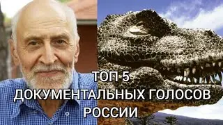 ТОП 5 ДОКУМЕНТАЛЬНЫХ ГОЛОСОВ РОССИИ